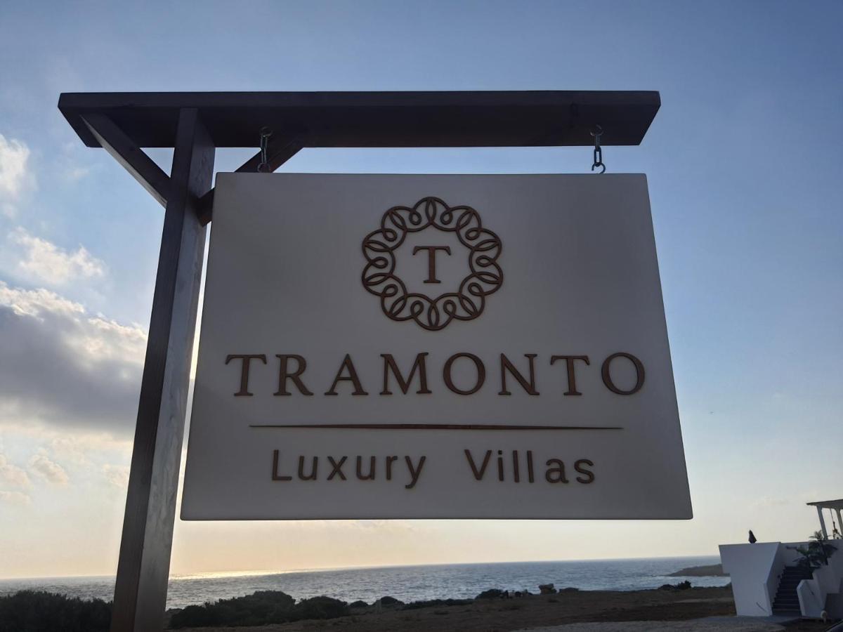 Tramonto Luxury Villa No2 - Breathtaking Sunset View Foiníkion Екстериор снимка